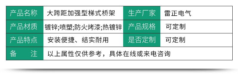 大跨距梯式橋架產品參數